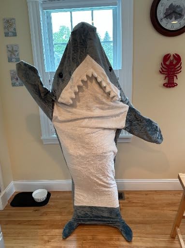 Shark Nap Hoodie