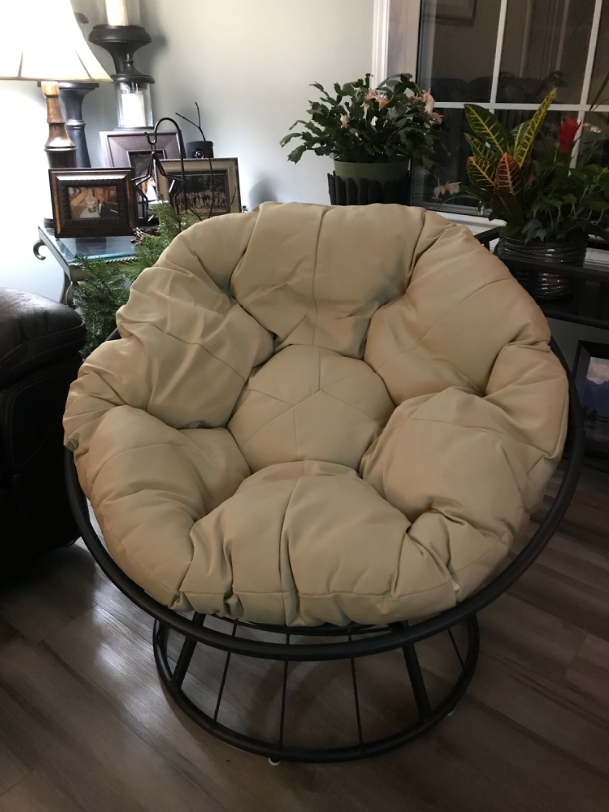 mimosa moon chair