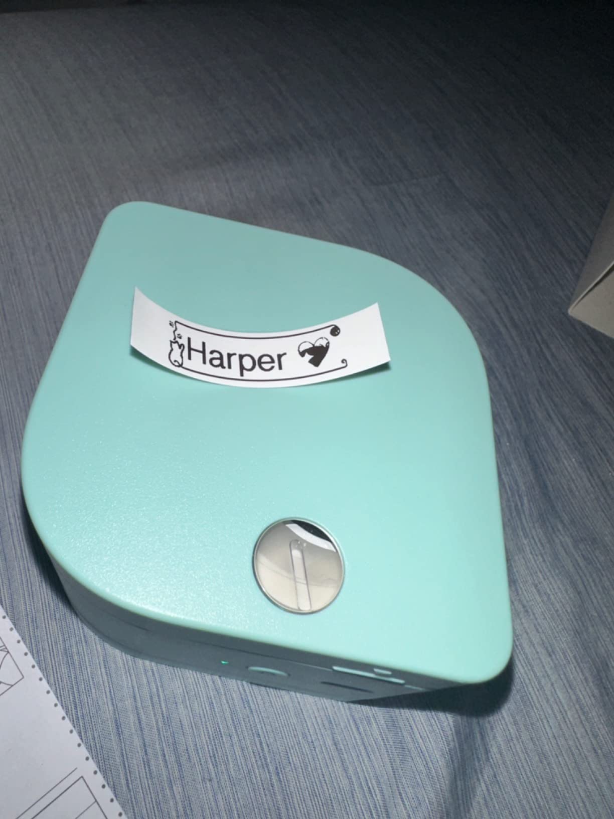 Phomemo P12 - Mini etichettatrice Bluetooth con 3 rotoli di etichette di  diversi colori, dispositivo di etichettatura termica, autoadesivo, per  casa